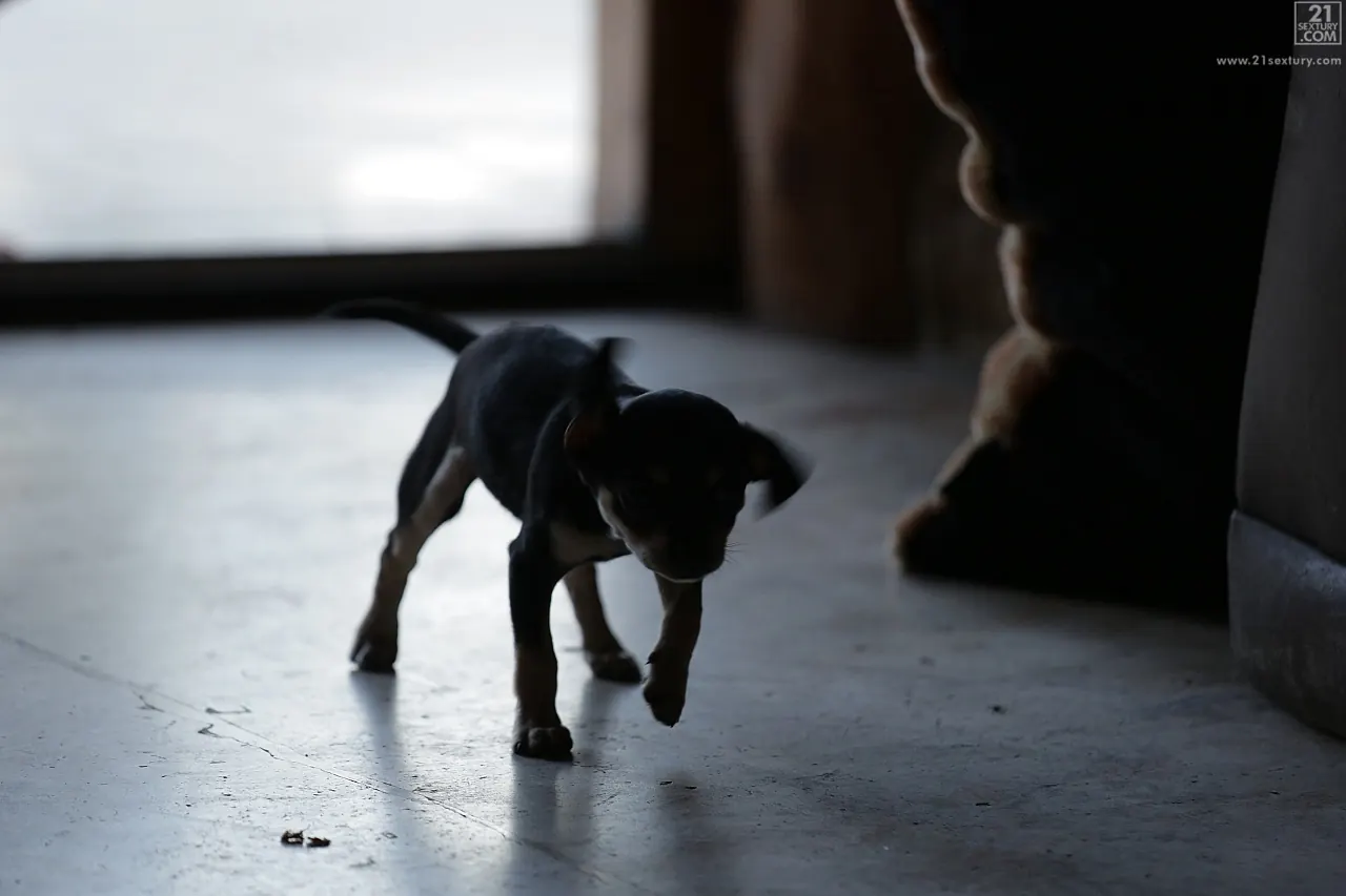 21Sextury 'Art and Erotica' starring Anita Bellini (Photo 16)