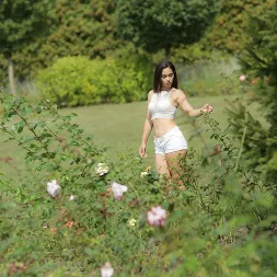 Ginebra Bellucci in '21Sextury' Her Red Rose (Thumbnail 1)